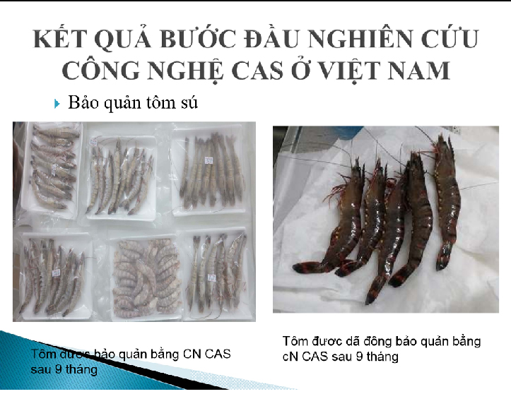 Bảo quản thực phẩm đông lạnh bằng công nghệ CAS 1