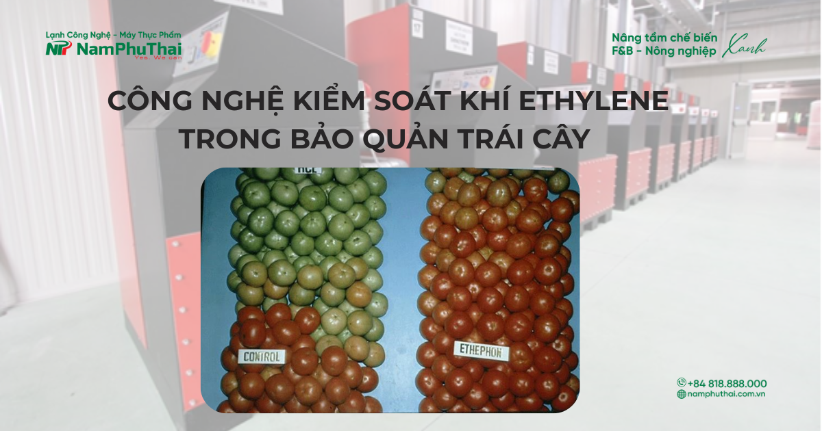 KIỂM SOÁT KHÍ ETHYLENE