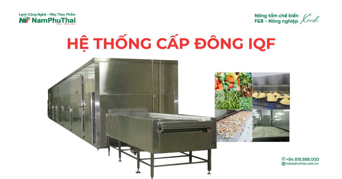 Hệ thống cấp đông IQF